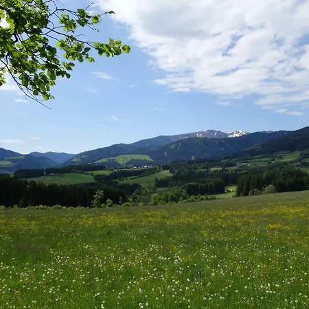 Gesundheitsbauernhof -landhof - Offenbacher Apartment Seckau